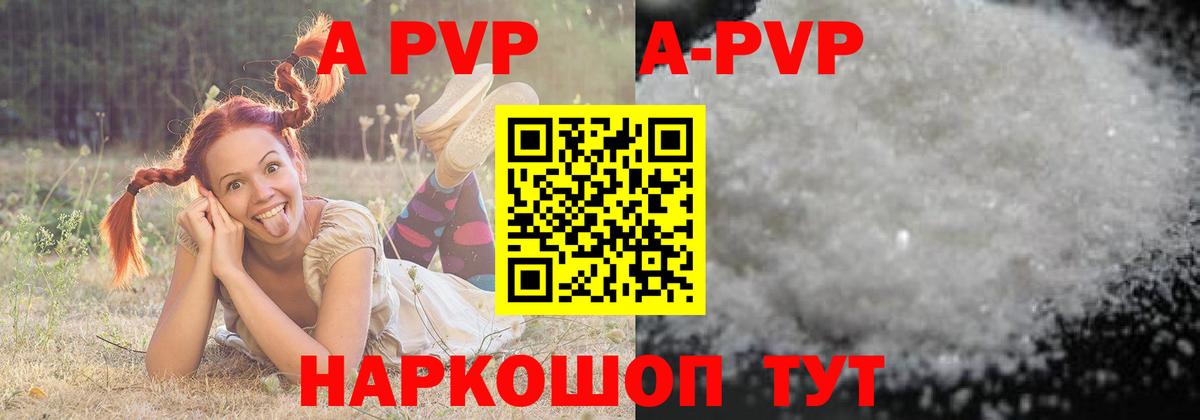 Урус-Мартан  Alfa_PVP  Вход с VPN  А ПВП СК КРИС  APVP СК 