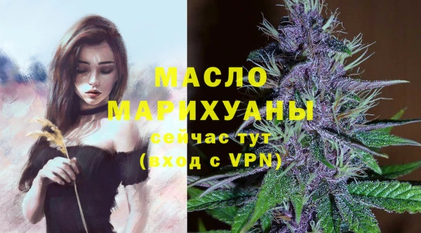 дмт Снежногорск