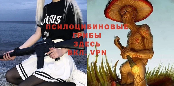 амф Слюдянка