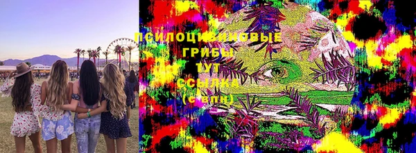гашик Семикаракорск