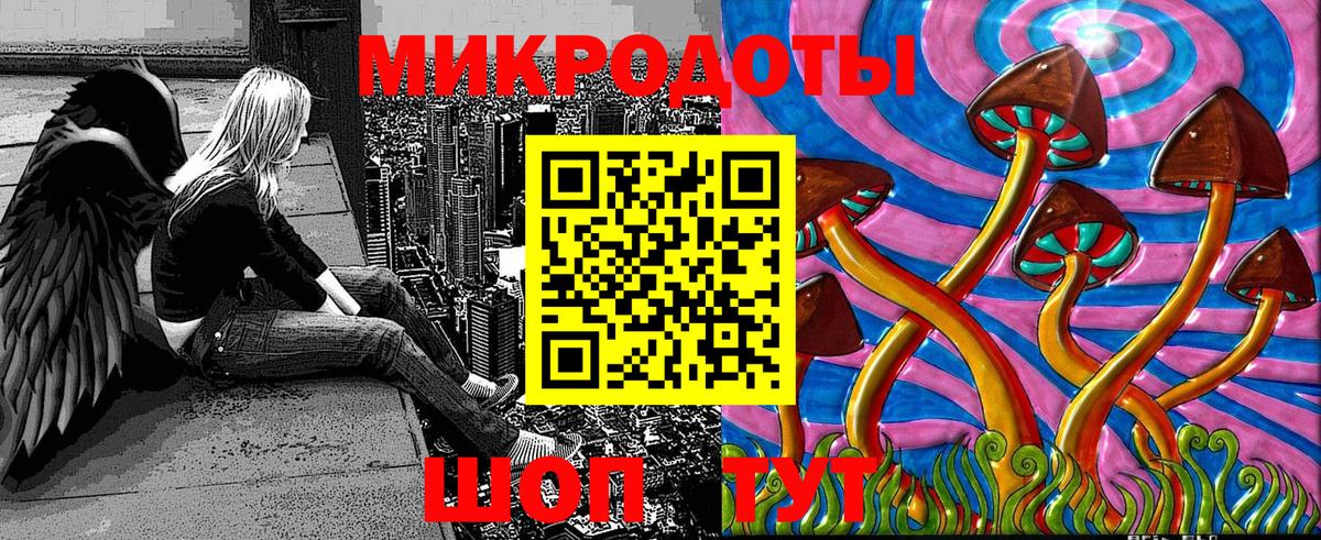 Псилоцибиновые грибы Psilocybe Урус-Мартан