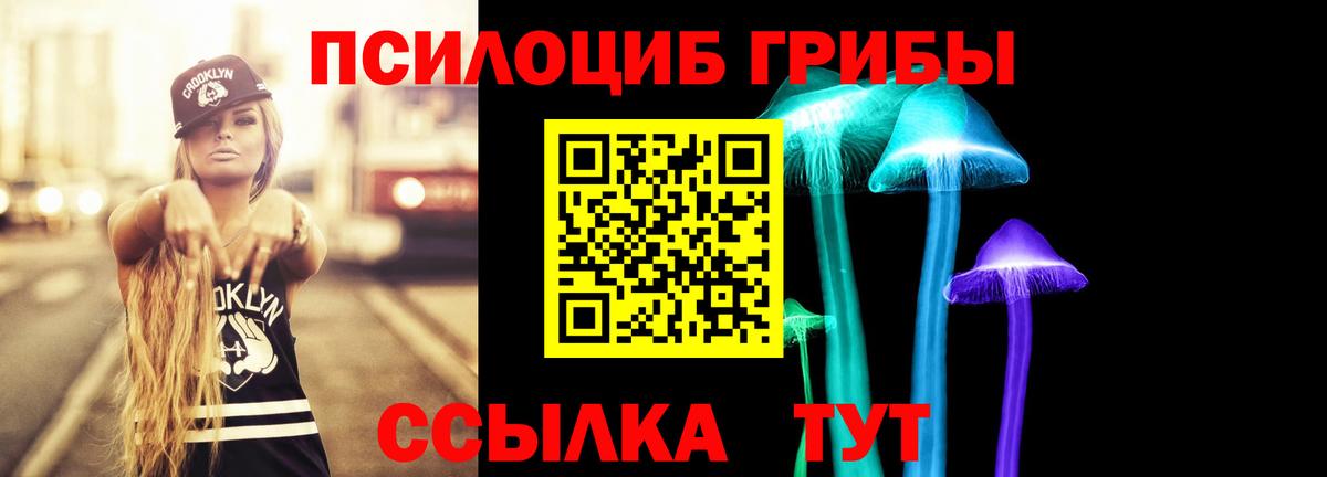 наркота  Вход с VPN  Урус-Мартан  Псилоцибиновые грибы Psilocybine cubensis 